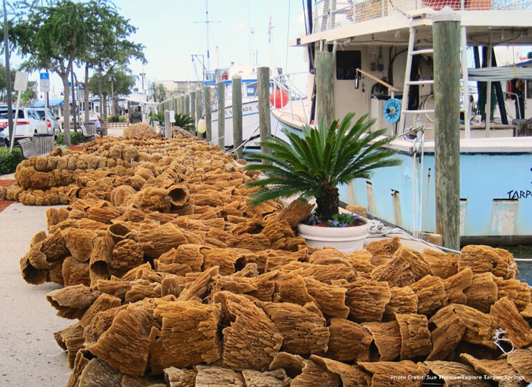 Tarpon Springs YankeeTrailsGroups By US Tours   Tarpon Springs Sponge Docks Photo By Sue Thomas 768x559 